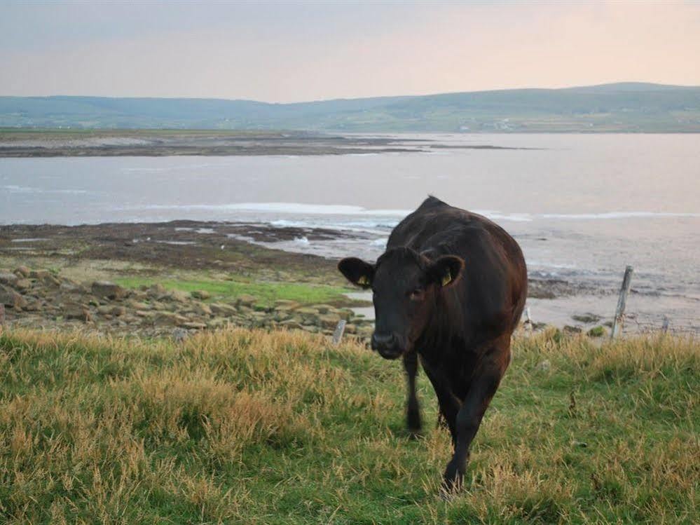 Creevagh Heights B&B Killala Eksteriør bilde
